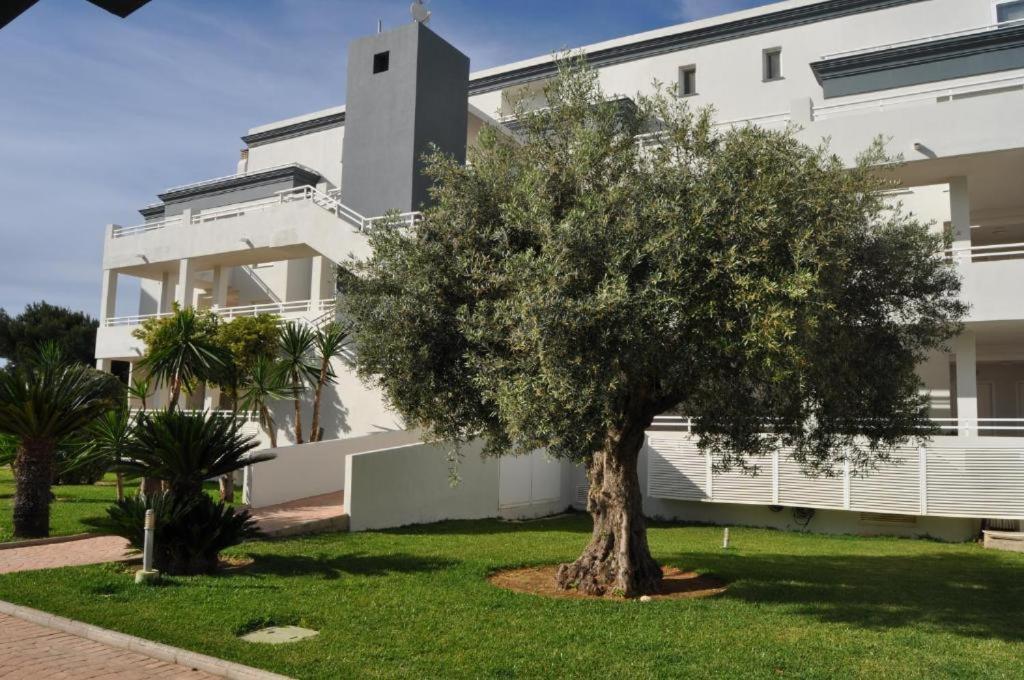Apartmán Oasis Hoyo 12 - Oliva Nova Playa Met&Golf Exteriér fotografie