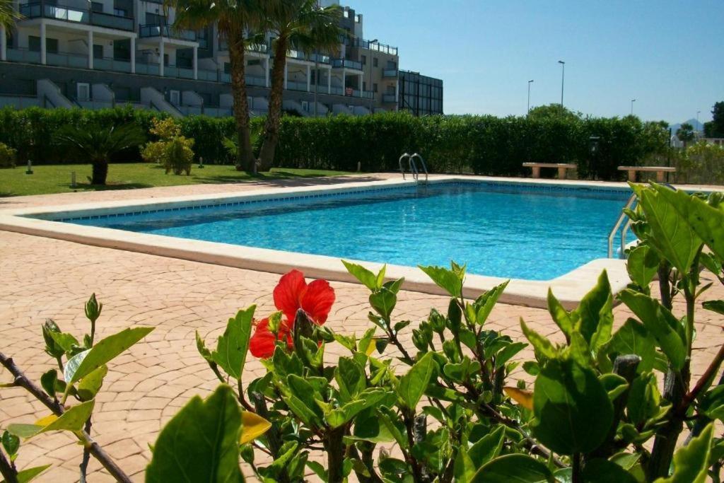 Apartmán Oasis Hoyo 12 - Oliva Nova Playa Met&Golf Exteriér fotografie